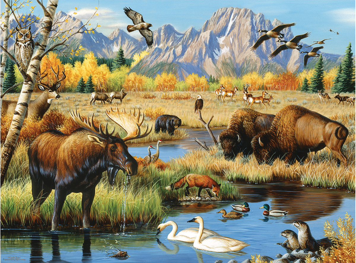 Wildlife Gathering - SunsOut puzzle collectible - Main Image 2