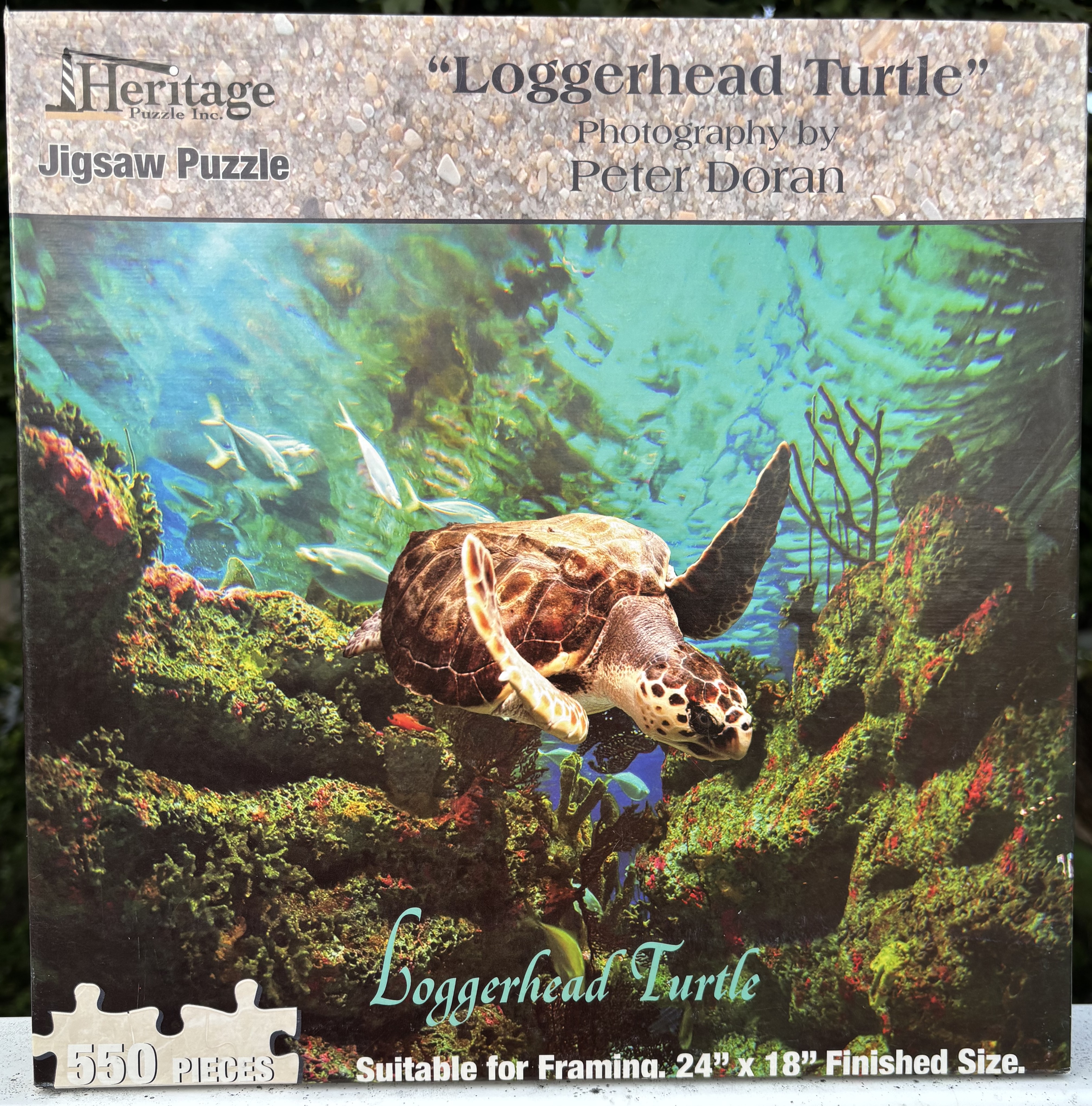 Kelloggs Shapes : Coco the Monkey