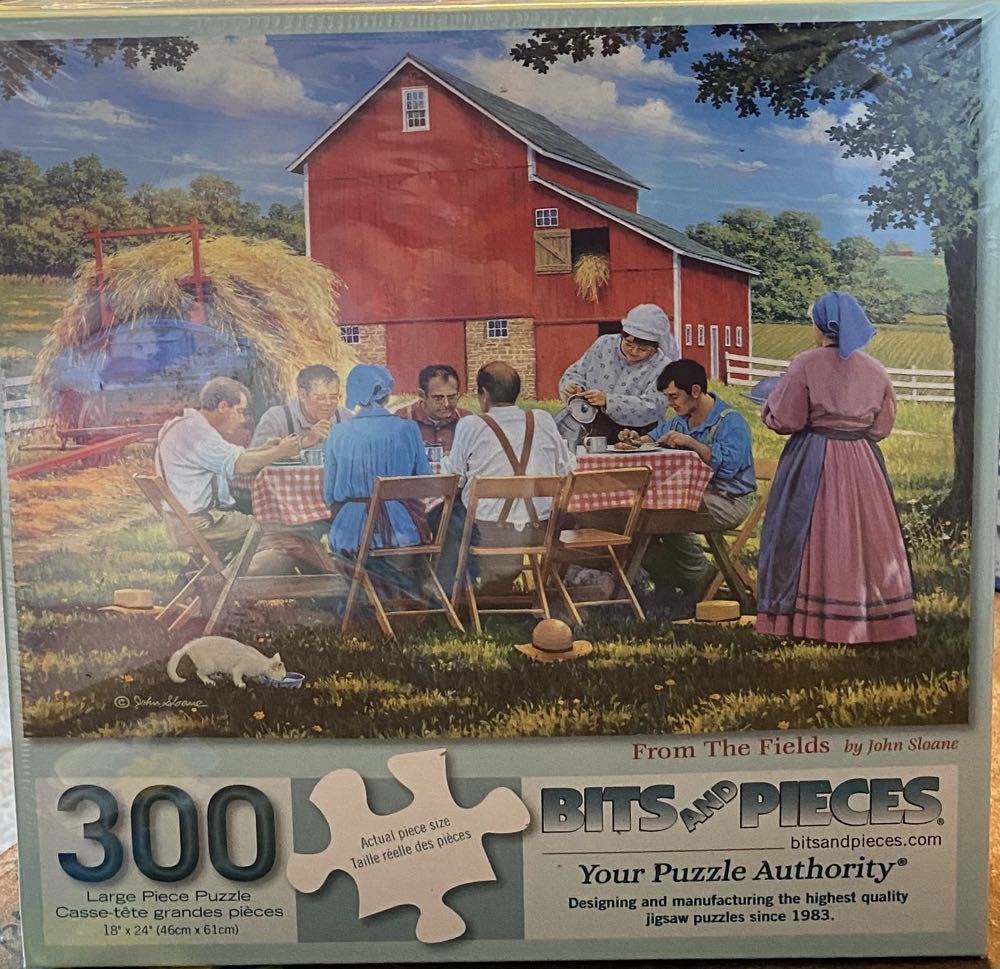 Peanuts Charlie Brown Wrapping Paper