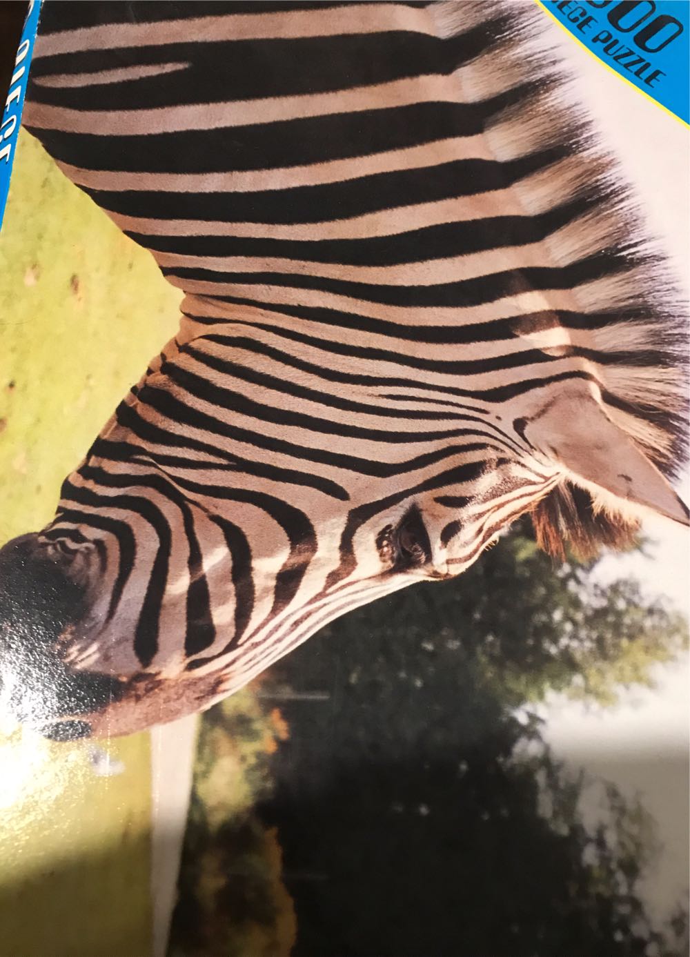 Trump’s General Store