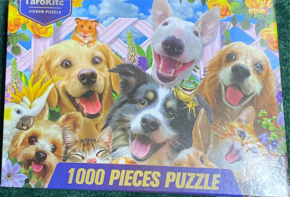 Bird Watcher Paradise