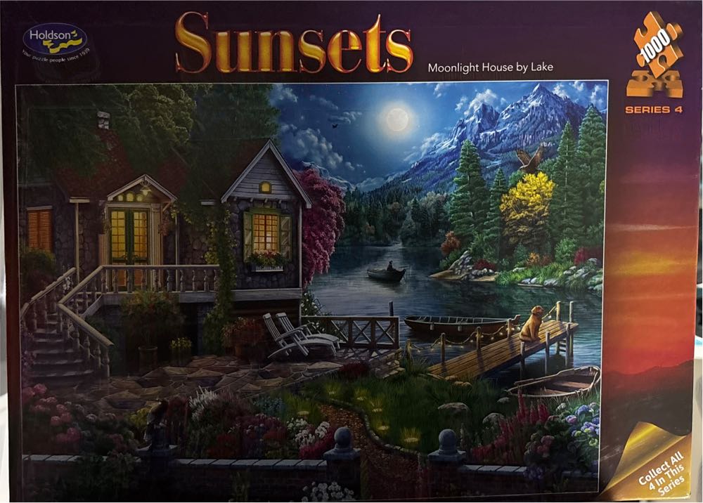 New York New York Panasonic 