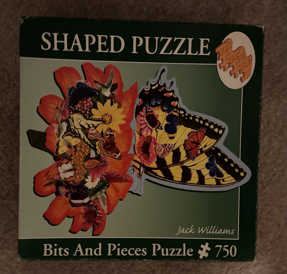 Cat Nap - 1017, 2/12/26