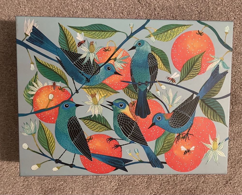 Cat Nap - 1017, 2/12/26