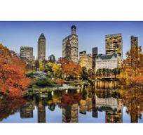 Aimee Stewart: Merry Mushroom Cottage