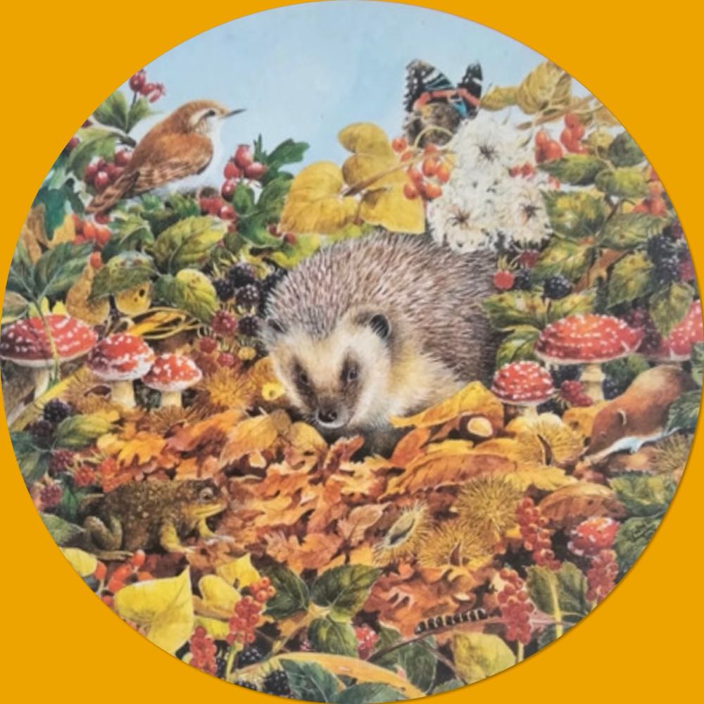 Autumn SCANNEN - Falcon de luxe puzzle collectible - Main Image 2