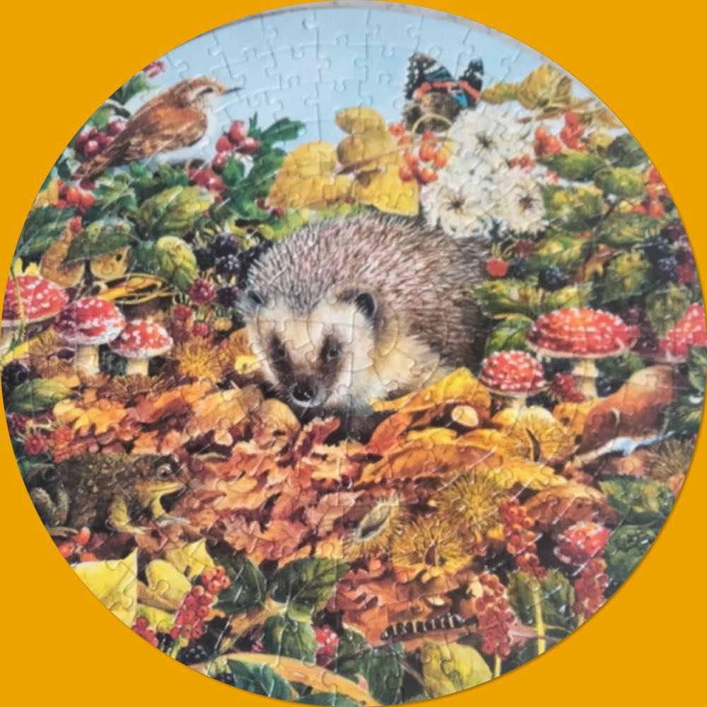 Autumn SCANNEN - Falcon de luxe puzzle collectible - Main Image 3