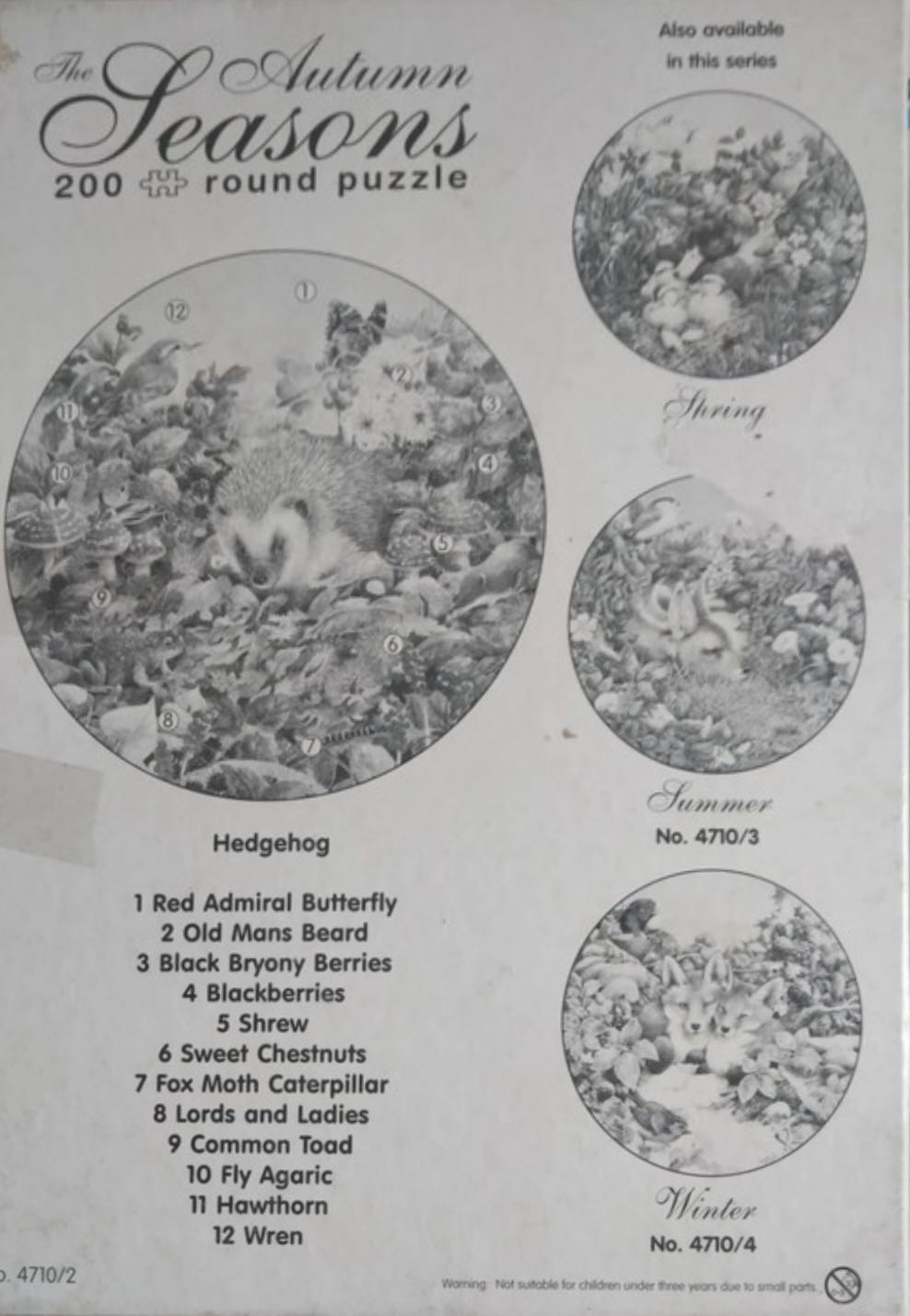 Autumn SCANNEN - Falcon de luxe puzzle collectible - Main Image 4