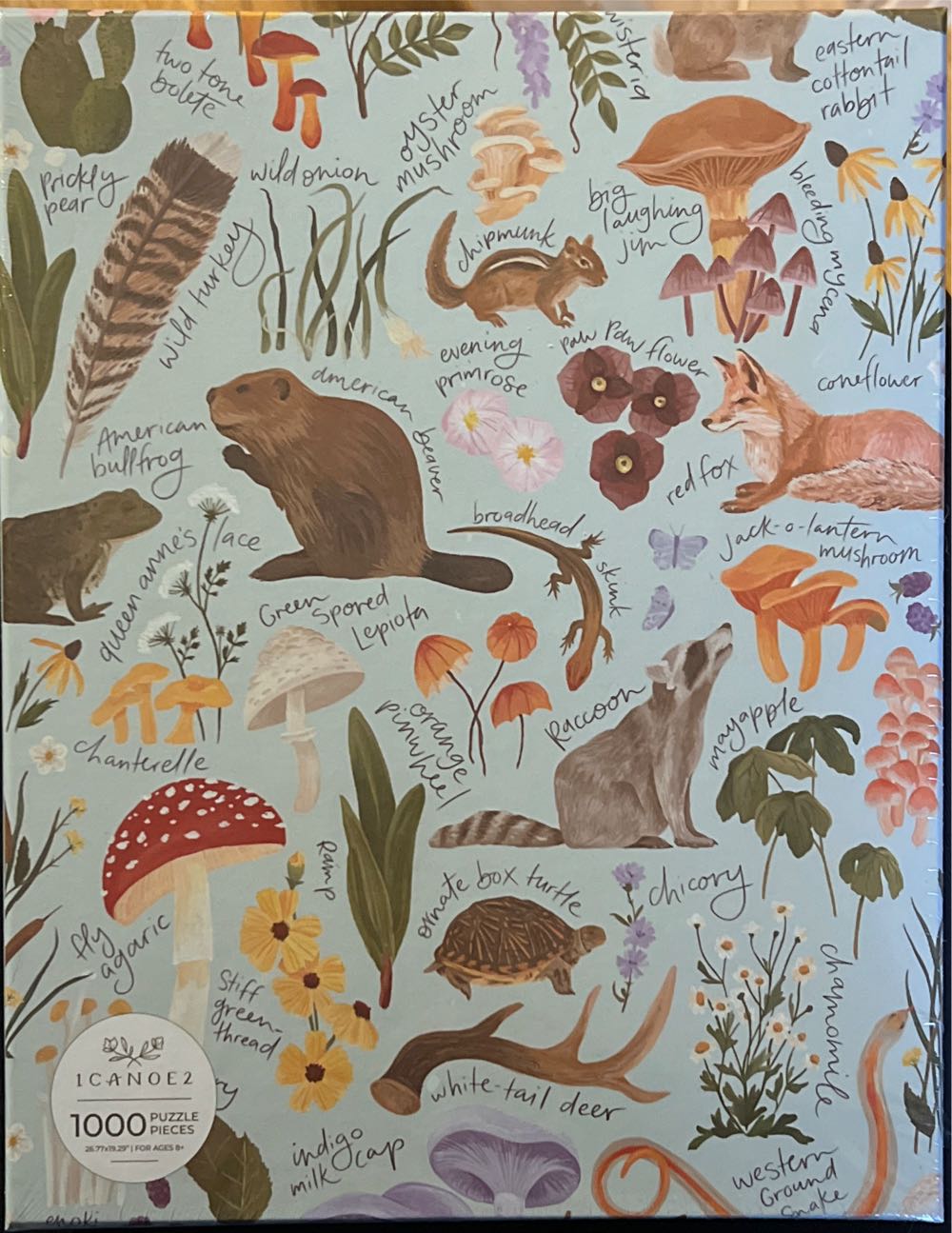 Painting Theme Pc Jigsaw By Sunsout The Little Artist