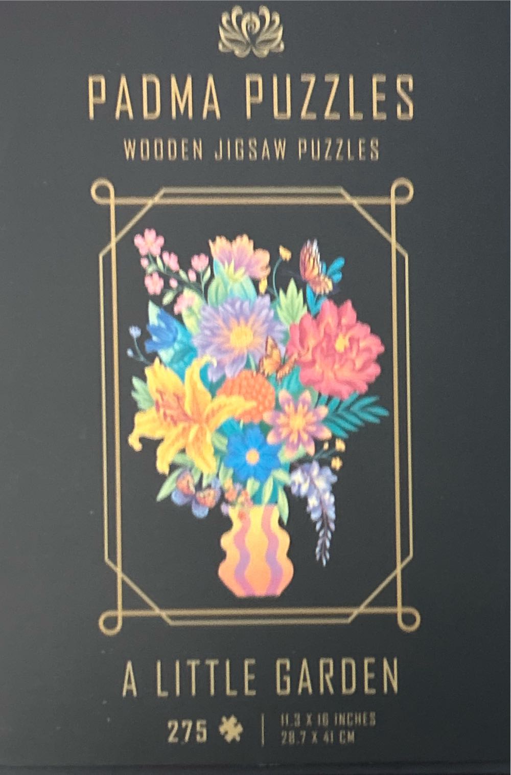 Animals Get Together