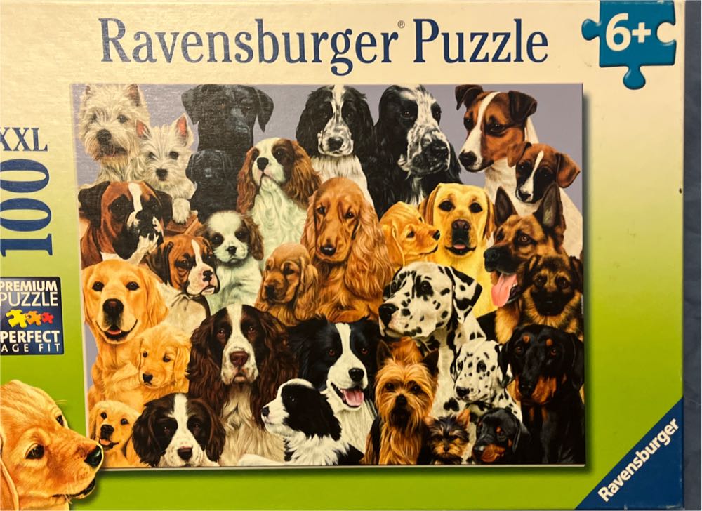 Adult Jigsaw Puzzle Ngs: Mabel Royds: Magnolia 500 Pieces: 500-piece Jigsaw Puzzles