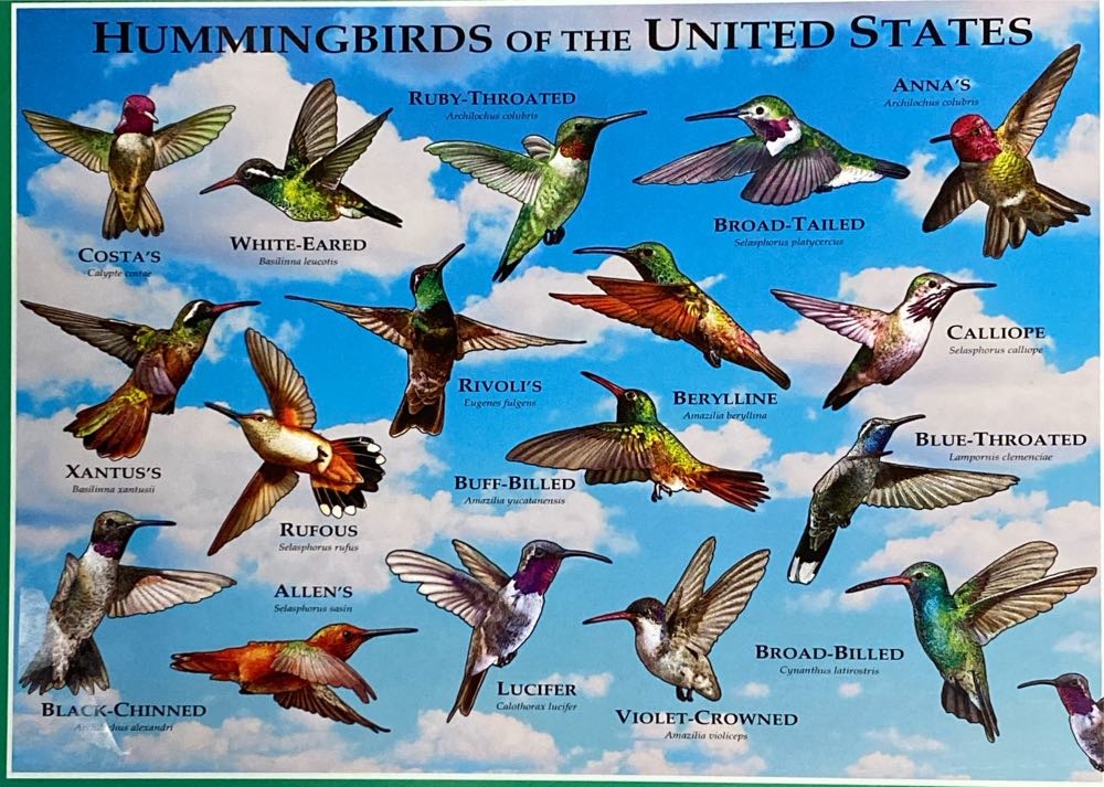 Sell Abandoned: Gloomy Carnival NEW