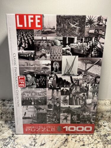 Shells Of The Florida Gulf Coast 550 Pieces Heritage