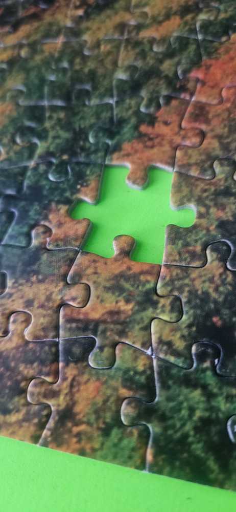 Castorland: View Of The Neuschwanstein Castle - Castorland puzzle collectible [Barcode 4900448053544] - Main Image 2