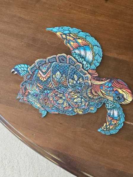 Something’s Amiss : Sky Glidin’