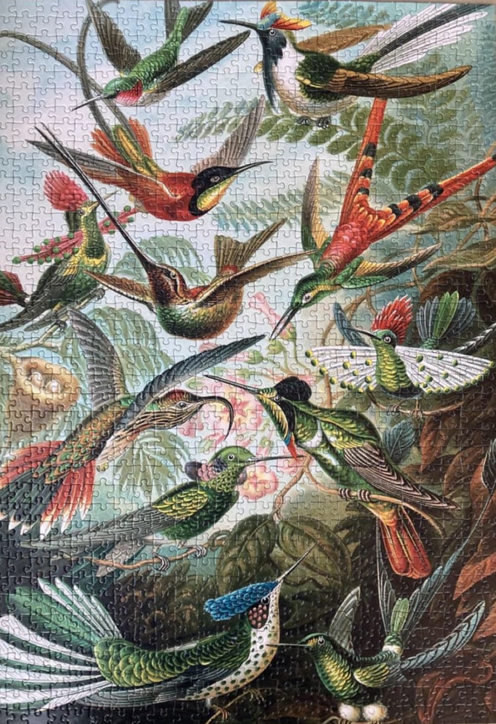 Hummingbirds🐦 - Piatnik puzzle collectible [Barcode 6093339450497] - Main Image 3