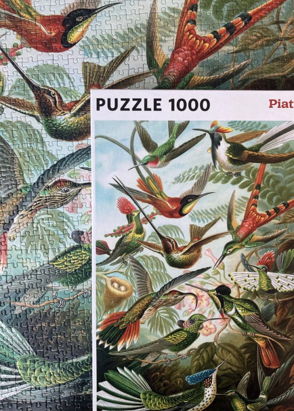 Hummingbirds🐦 - Piatnik puzzle collectible [Barcode 6093339450497] - Main Image 4