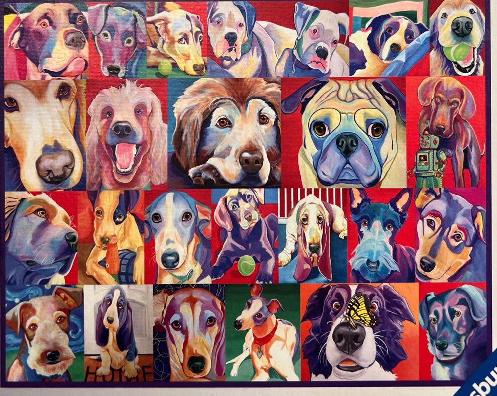 My Happy Place : The Grand Tetons