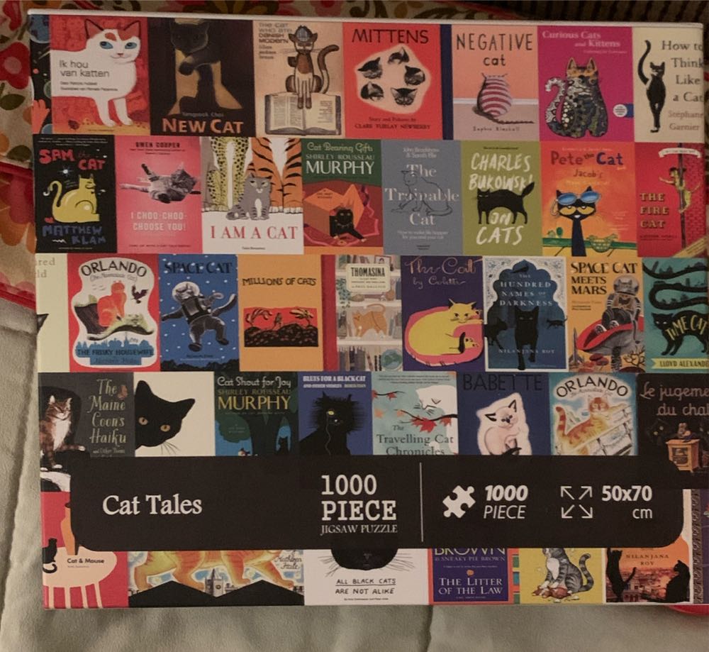 Flowerpot Cat’s Playtime