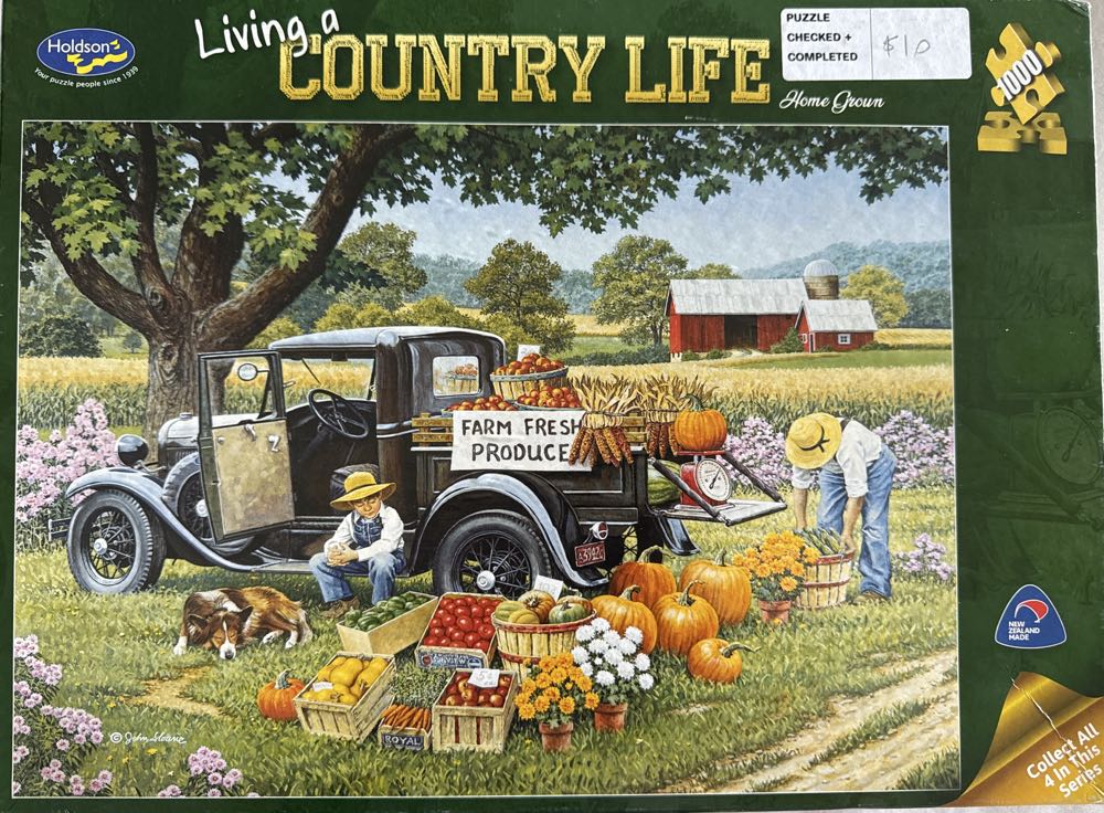 Mt Rainier National Park