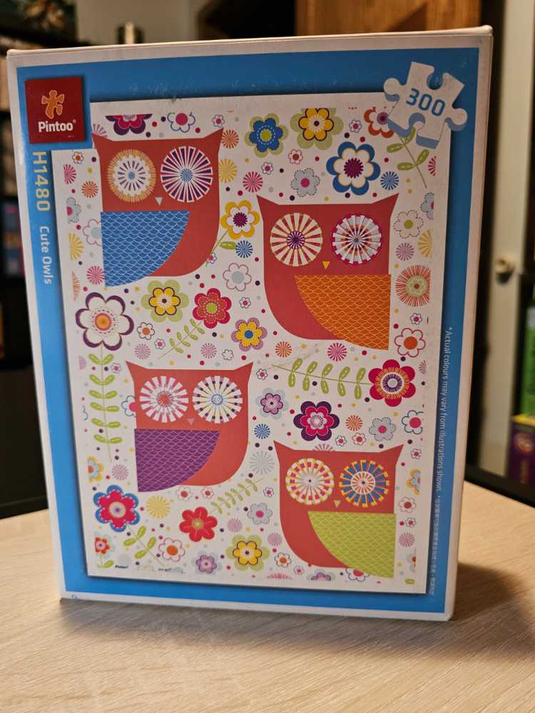 Harry Potter Movie Posters Piece Jigsaw World Wizarding Paladone