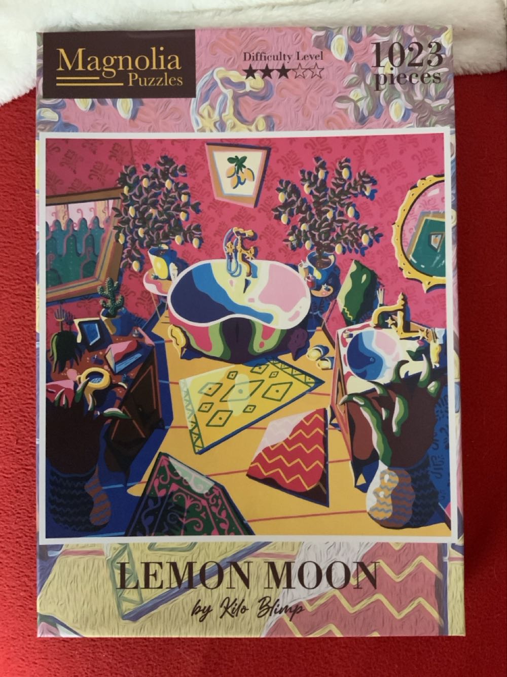 D-300-285: Balloon Journey (SOLD)