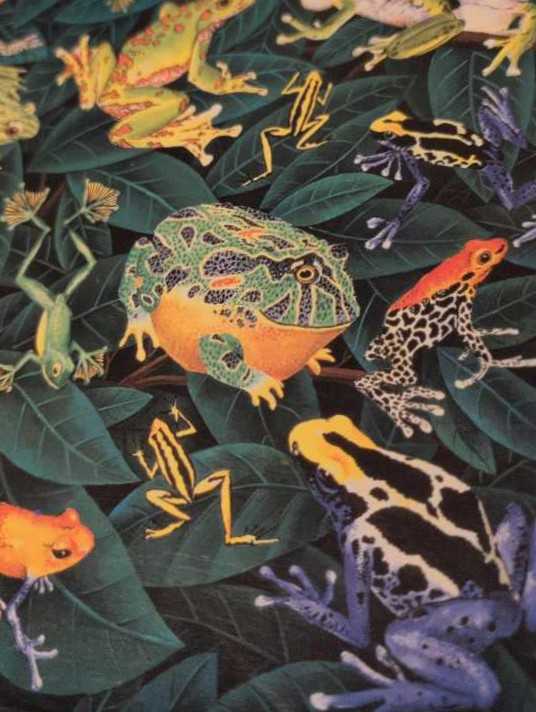 Impossipuzzle- Funky Frogs Edition - B.V Leisure puzzle collectible [Barcode 5014362537826] - Main Image 2