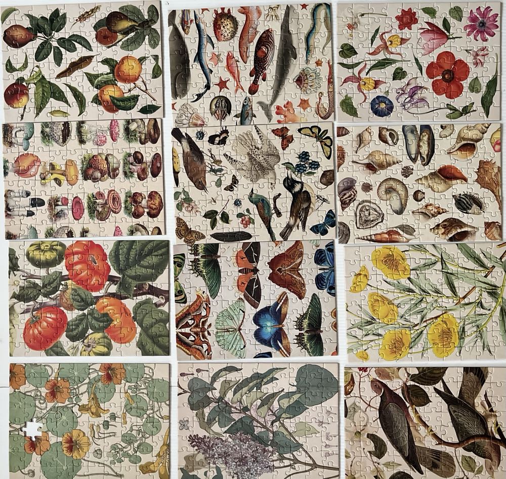 Animal Flower - Reed puzzle collectible [Barcode 4061463981172] - Main Image 3