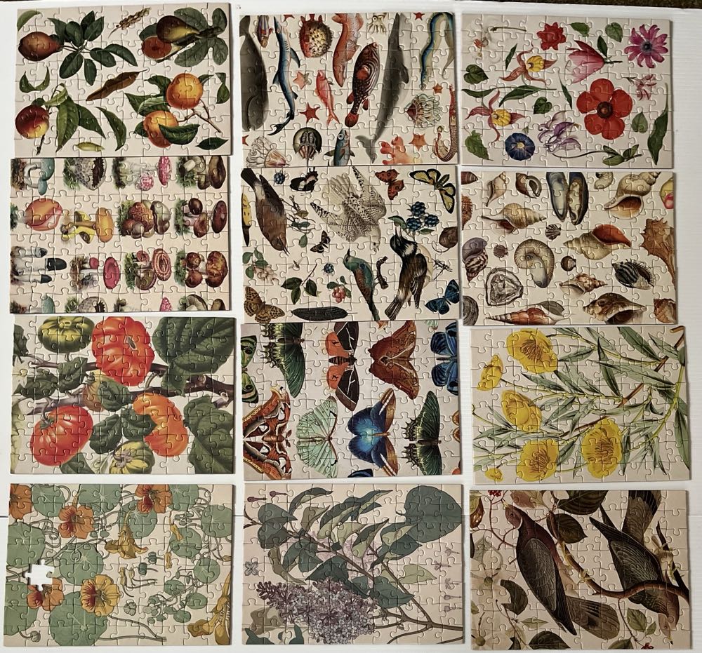 Animal Flower - Reed puzzle collectible [Barcode 4061463981172] - Main Image 4