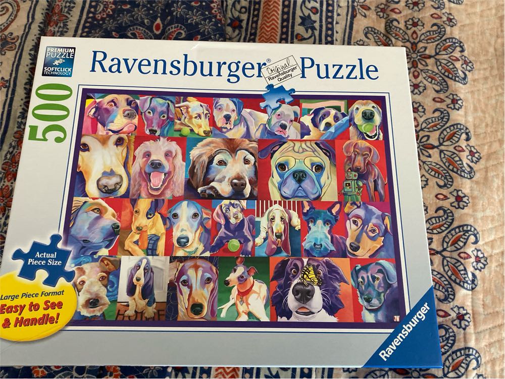 A Rabbit Among The Fairies