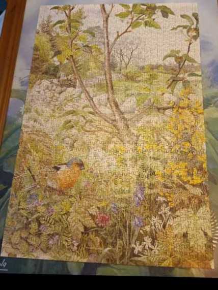 National Parks : Grand Teton 🆕