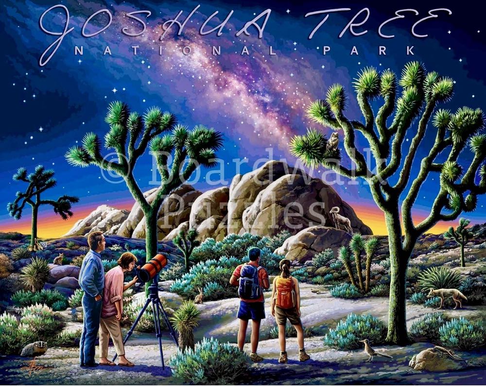 Joshua Tree✅🚫 - Boardwalk Puzzle Company puzzle collectible [Barcode 671095006330] - Main Image 2