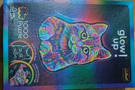 Swan Boats In Boston