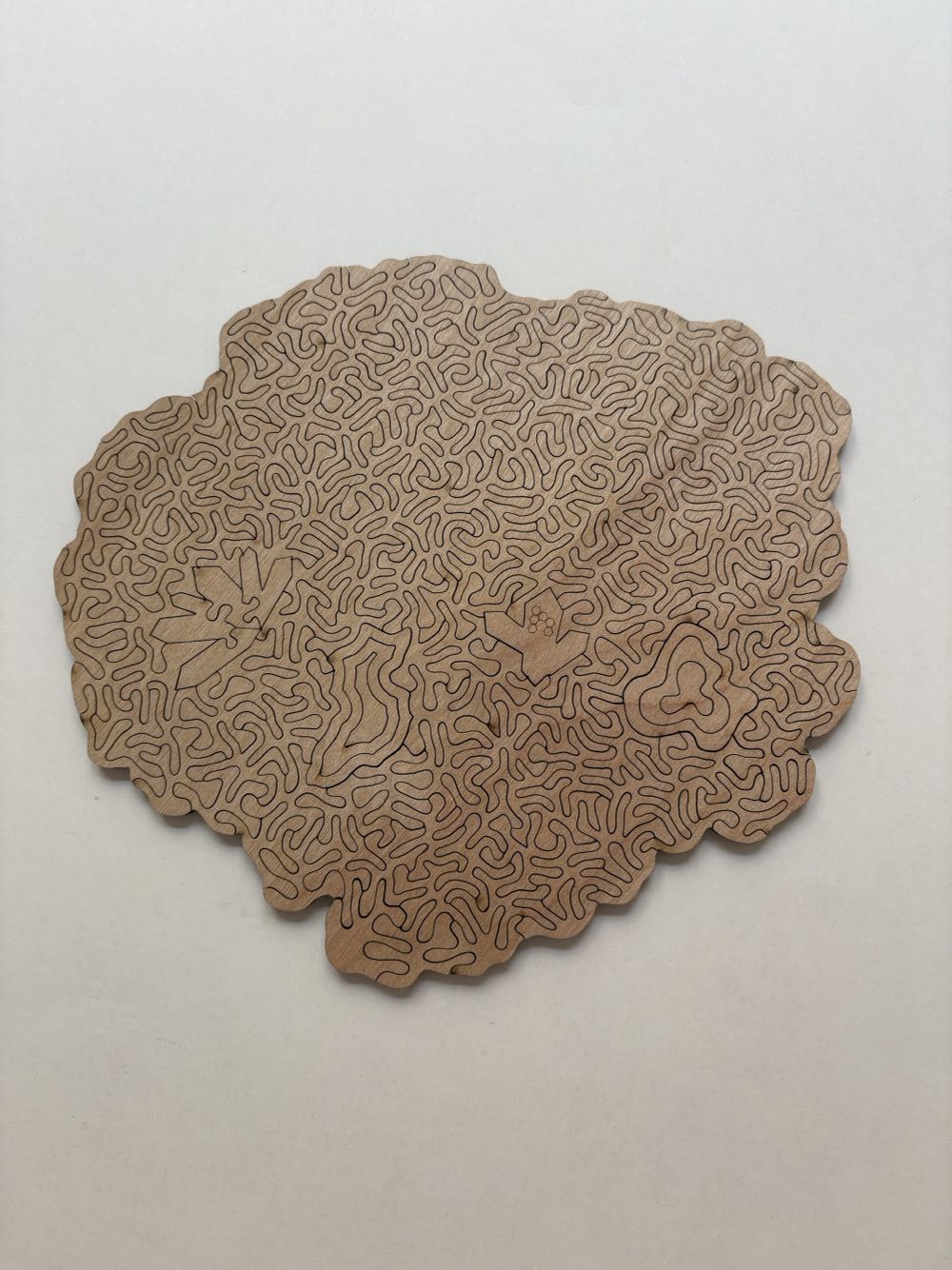 Agate ID 1527 - Nervous System puzzle collectible - Main Image 4