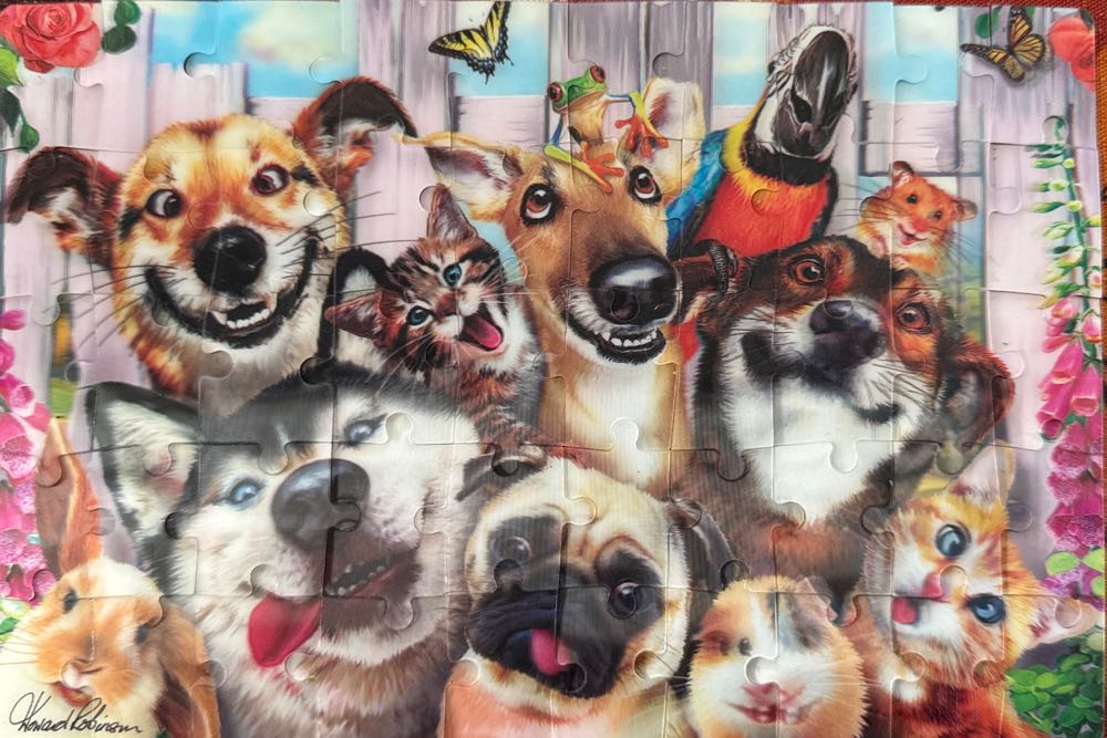 Selfies Prime 3d Pets 50 Pieces Howard Robinson Vibrant Colors Colorful 9x6 9” X 6” Pc. Jigsaw  puzzle collectible [Barcode 670889310592] - Main Image 2