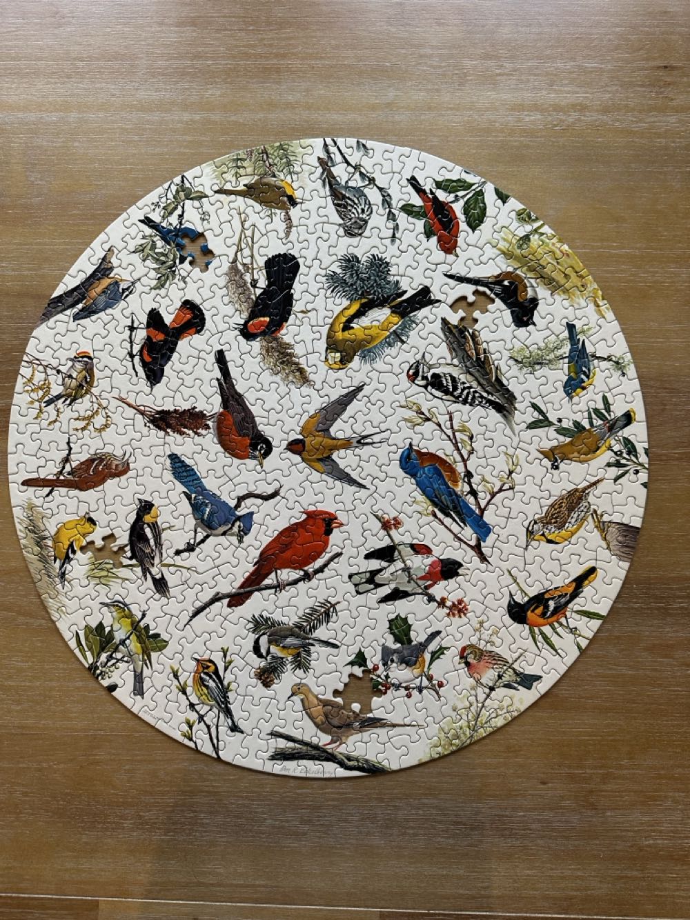 Springbok Song Birds ✅ (C,S) - Sprinbok puzzle collectible - Main Image 2