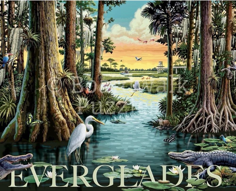 NPS : Everglades 🆕 - Boardwalk Puzzle Company puzzle collectible [Barcode 671095906272] - Main Image 2