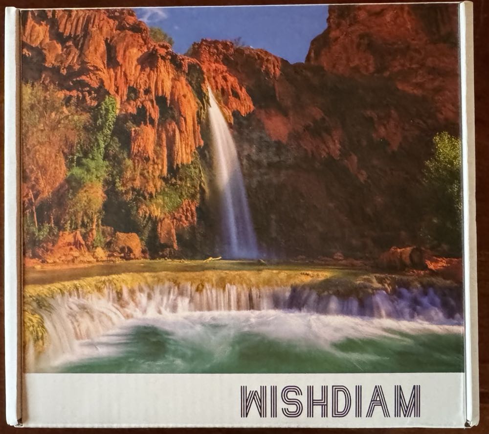 Hidden Butterfly Meadow