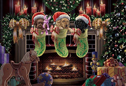 Petal Promenade: Springtime In Paris