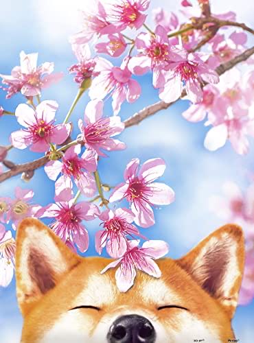 Disney Encanto Courtyard Piece