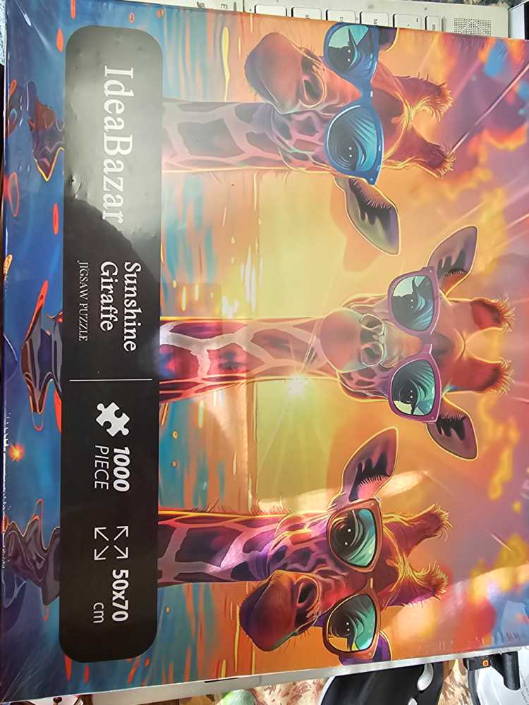 Kitties In The Winter