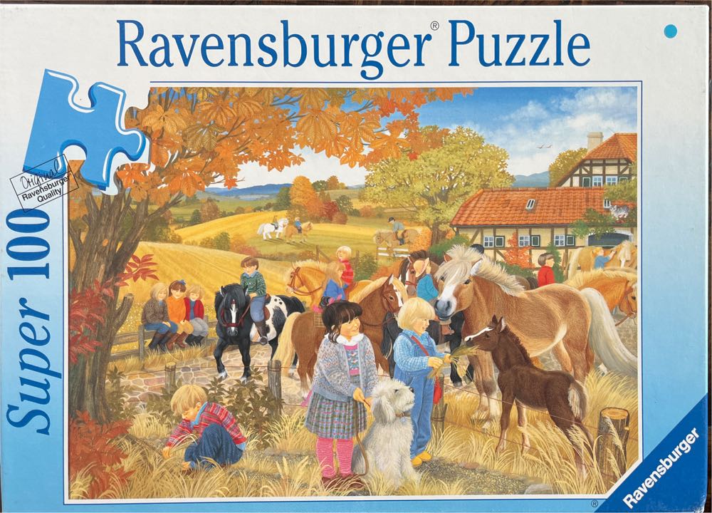 Pink Bug In Istanbul