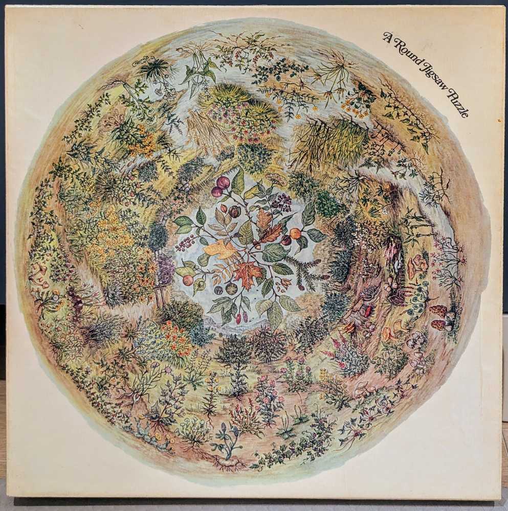 Deer at Day and Night