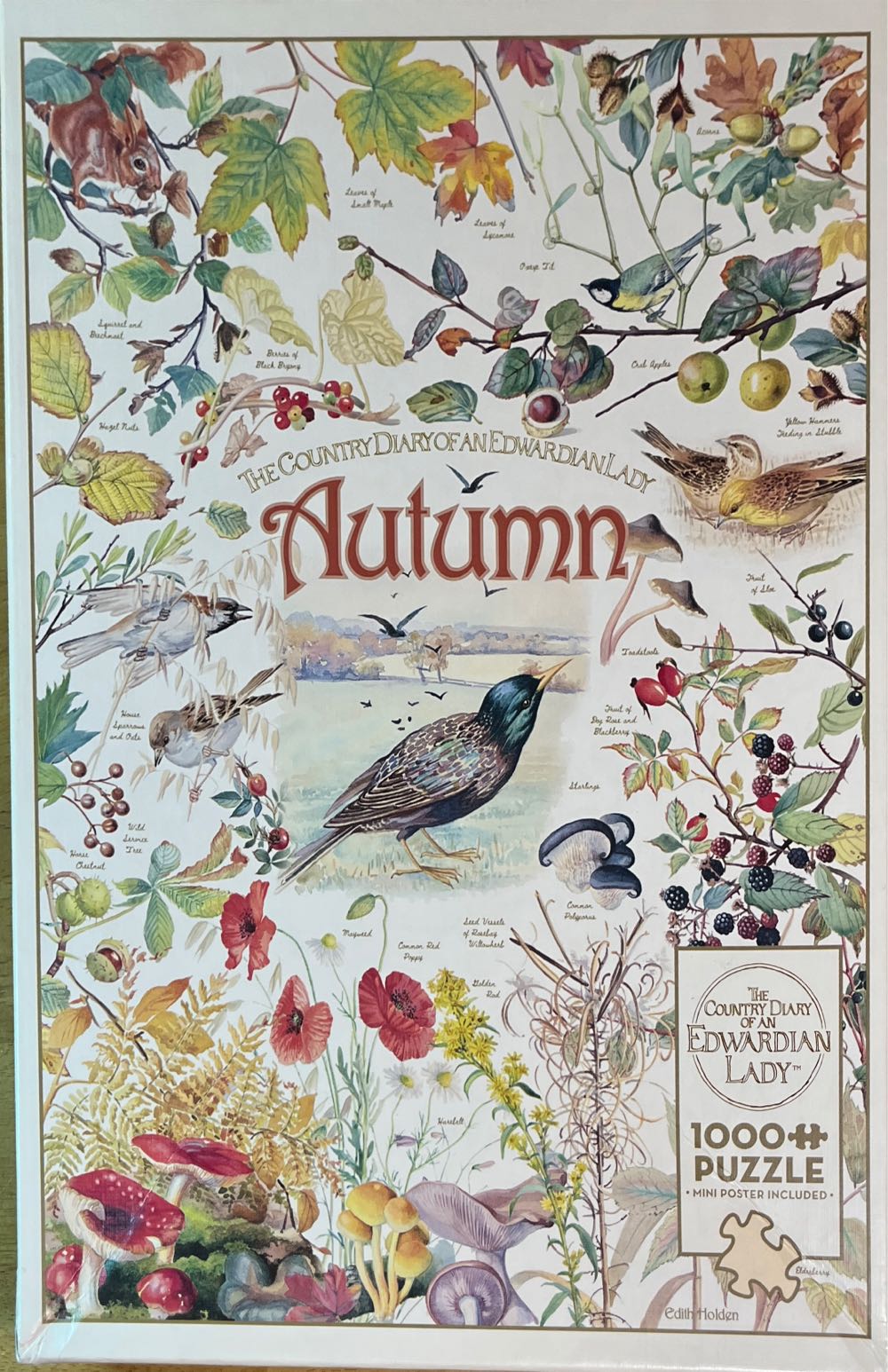 Twisted Puzzles: Forest Friends