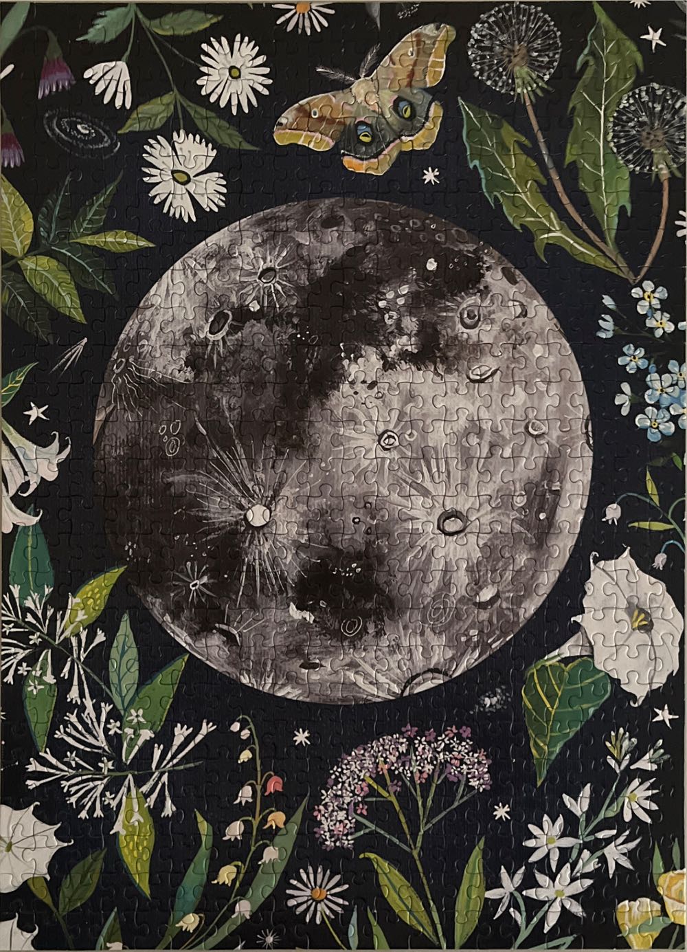 Moonflower - Chronical Books puzzle collectible [Barcode 9781797216669] - Main Image 2