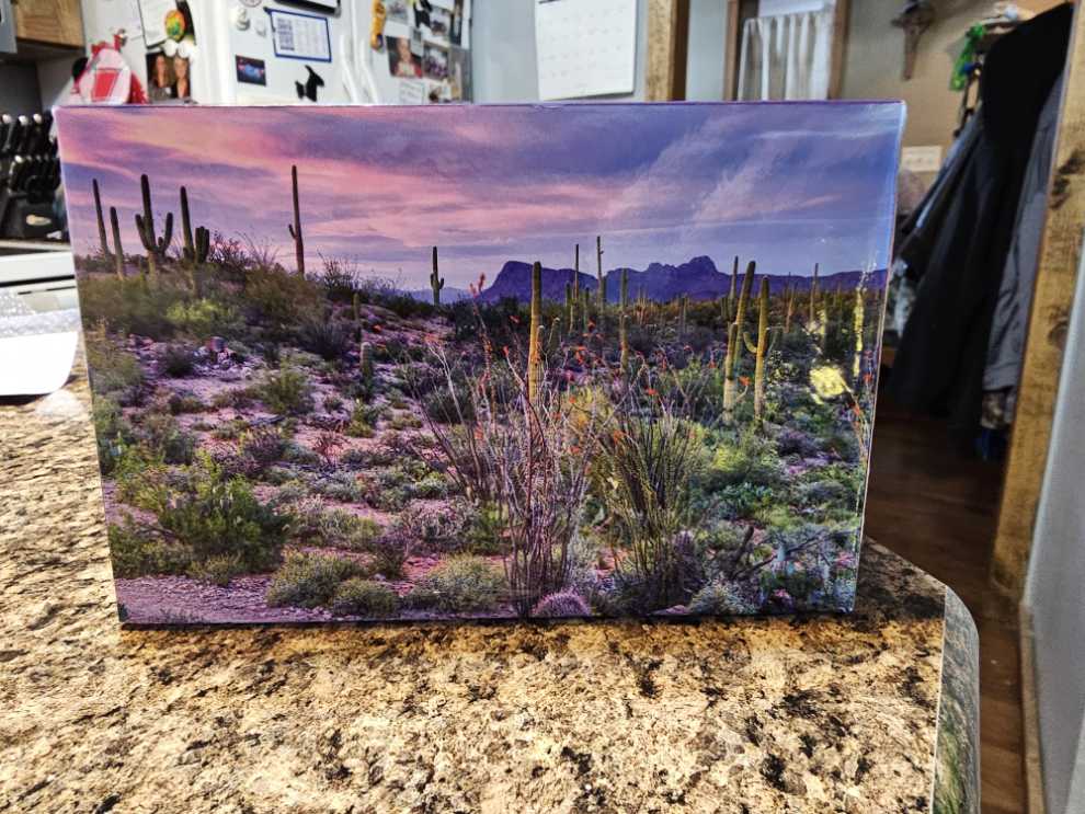 Saguaro National Park - Pigment & Hue puzzle collectible [Barcode 653370518684] - Main Image 2