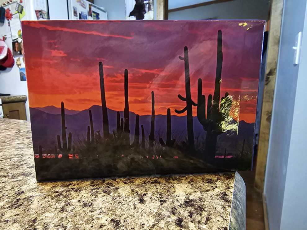 Saguaro National Park - Pigment & Hue puzzle collectible [Barcode 653370518684] - Main Image 3