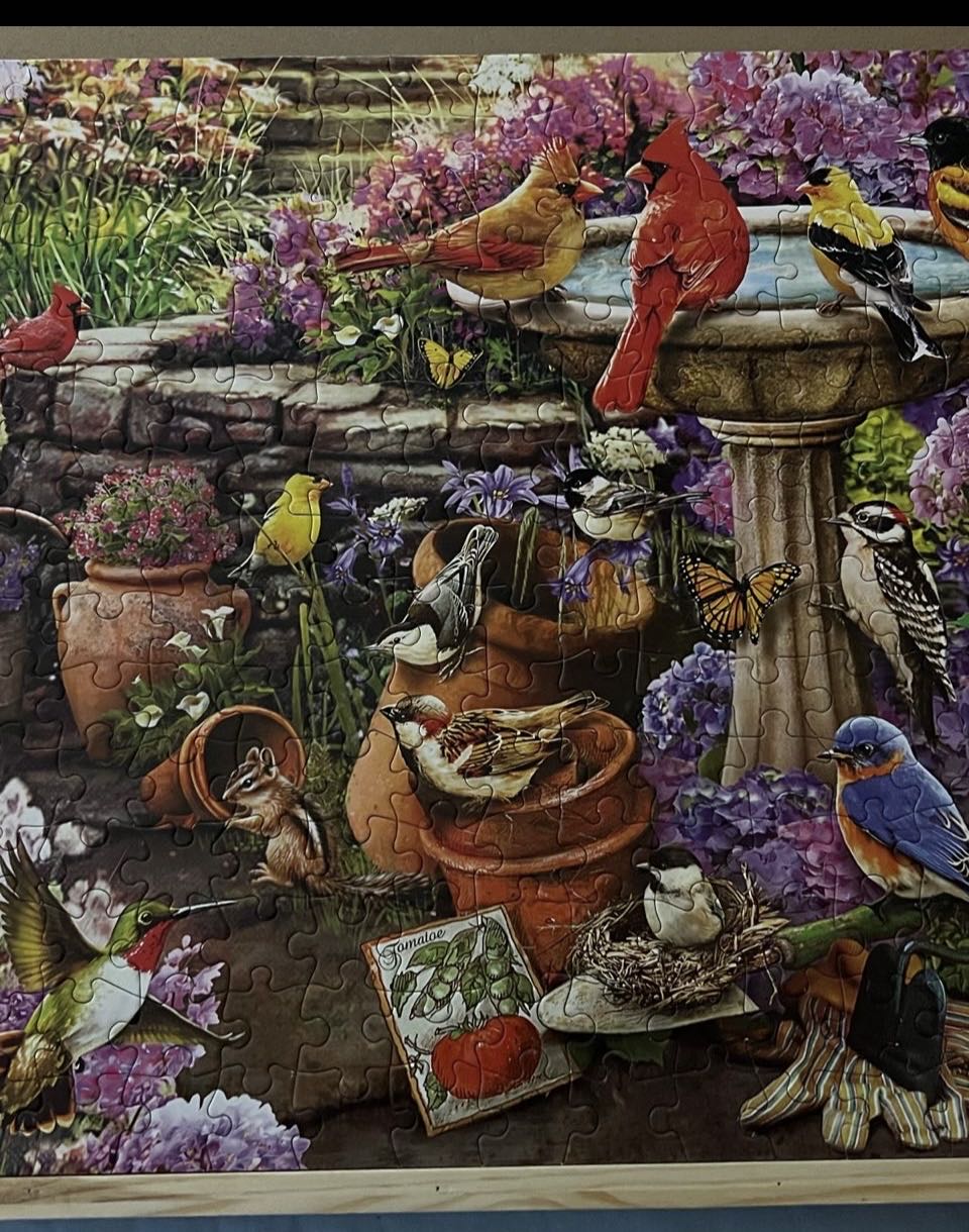 Miami Dolphins - Framed