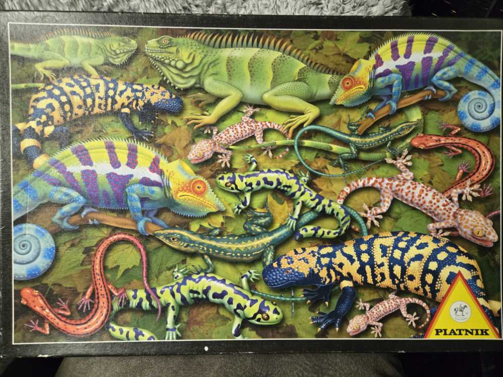 Salamander - Piatnik 🇦🇹 puzzle collectible [Barcode 9001890555343] - Main Image 2