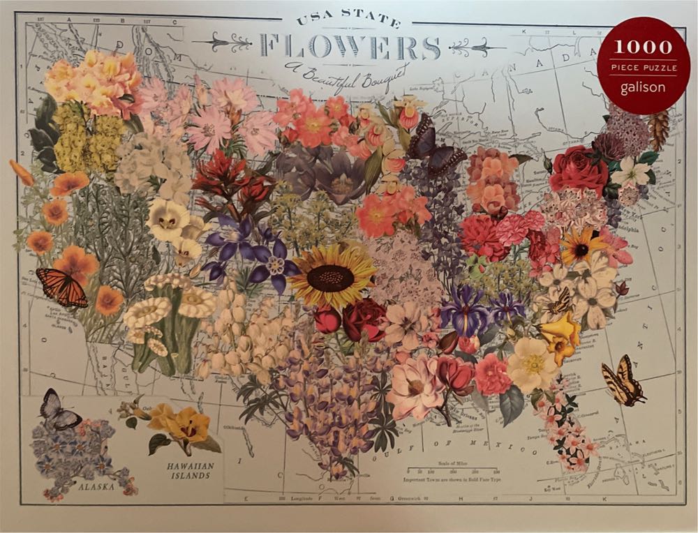 Times Square New York Panoramic